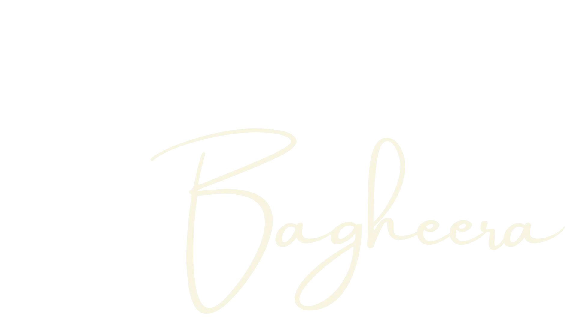 Bagheera